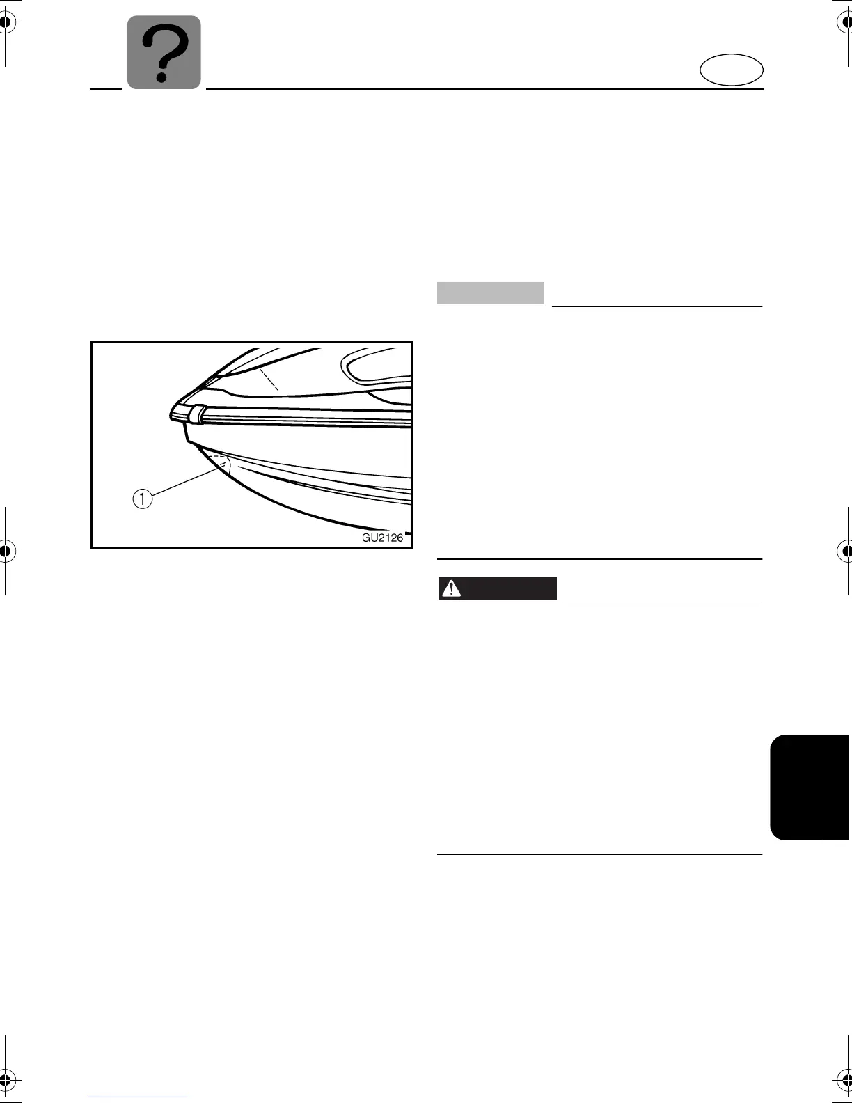 Page #111 background image