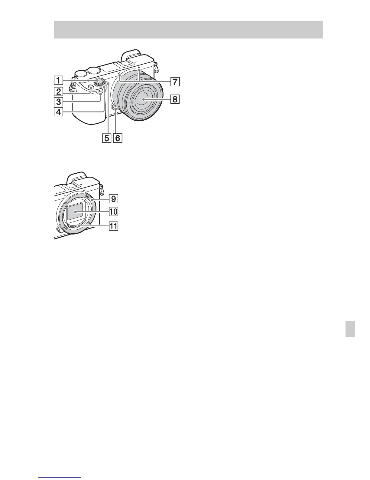 Page #351 background image