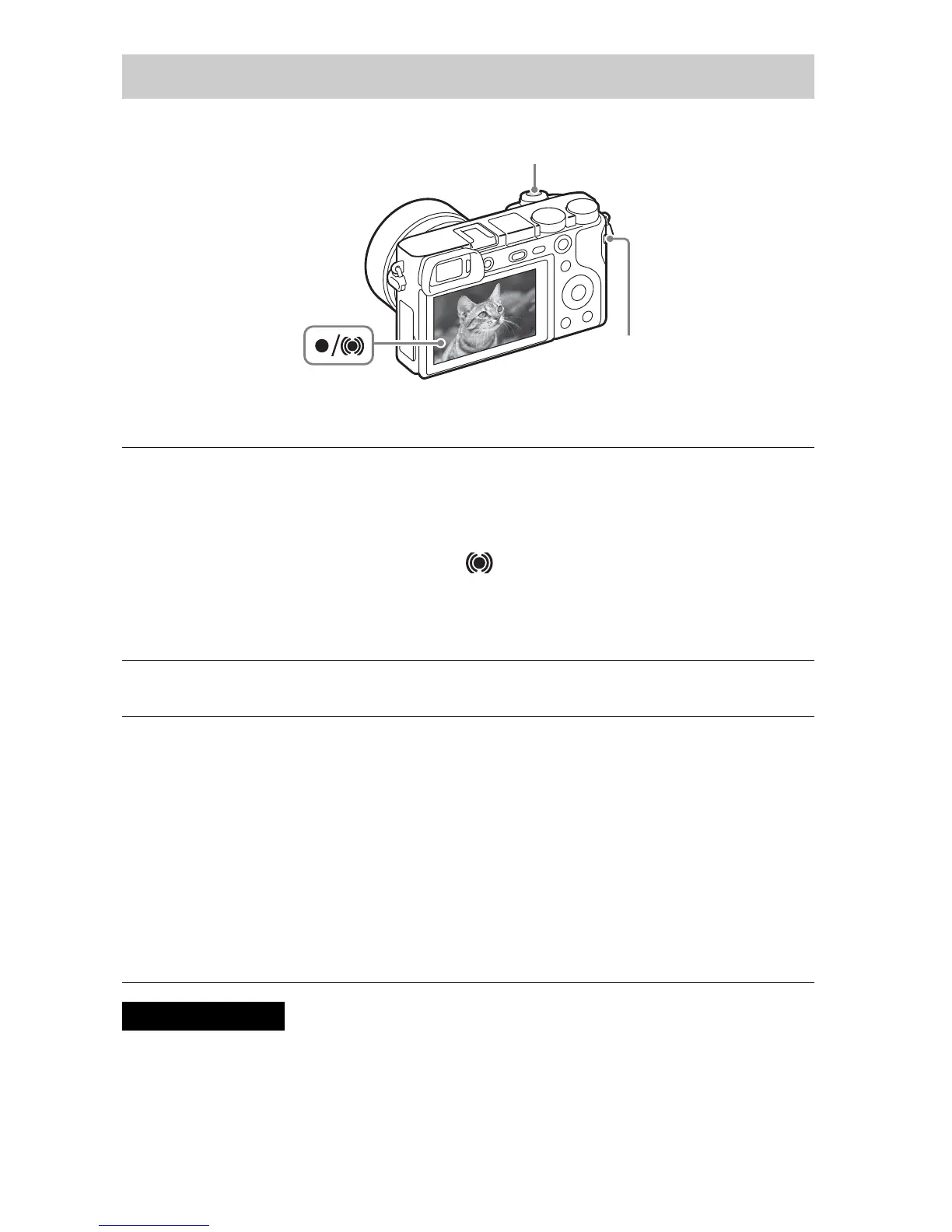 Page #366 background image