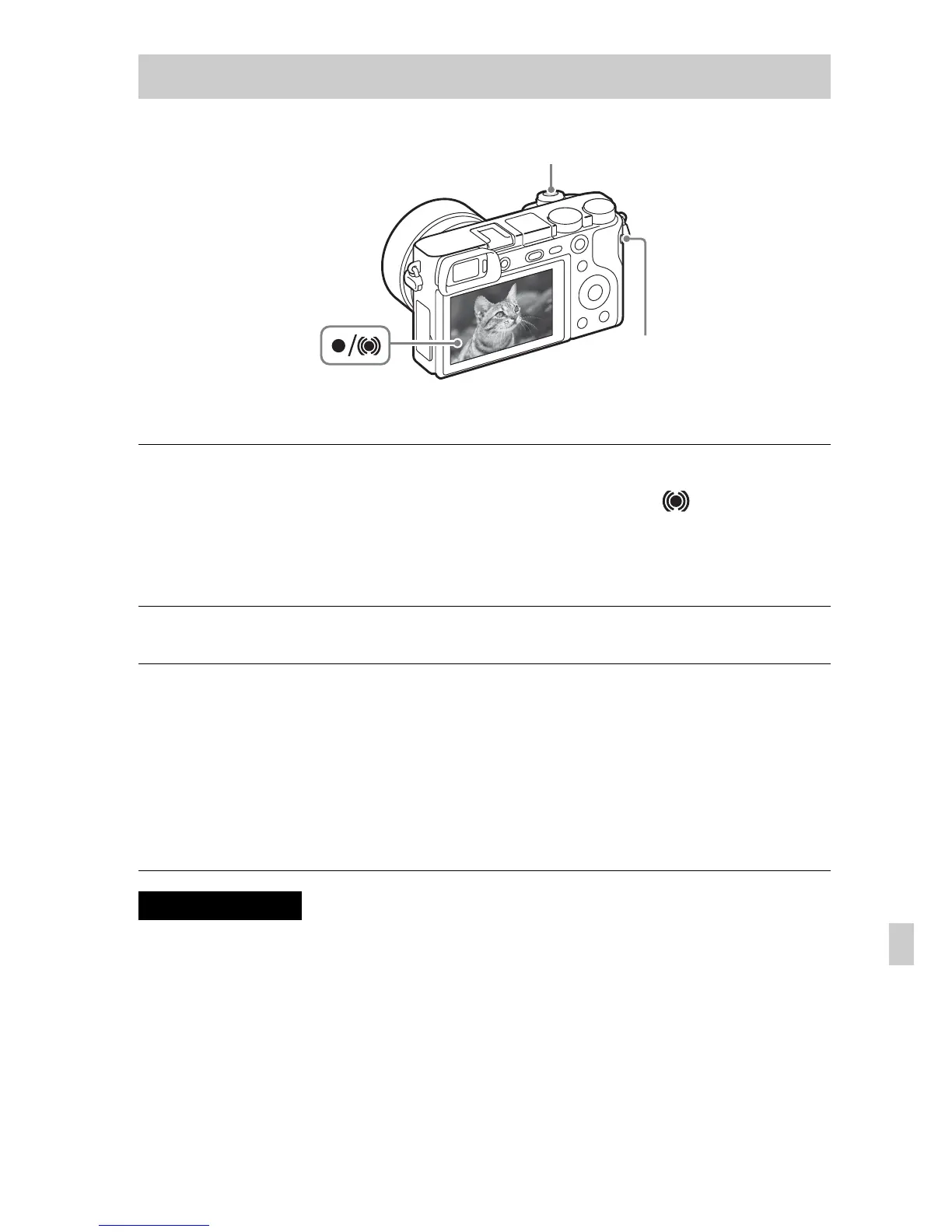 Page #435 background image