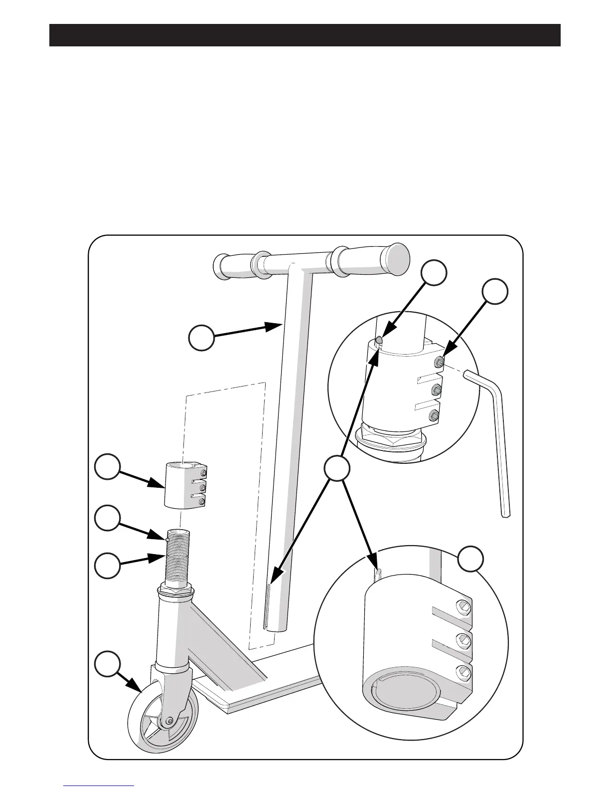 Page #3 background image