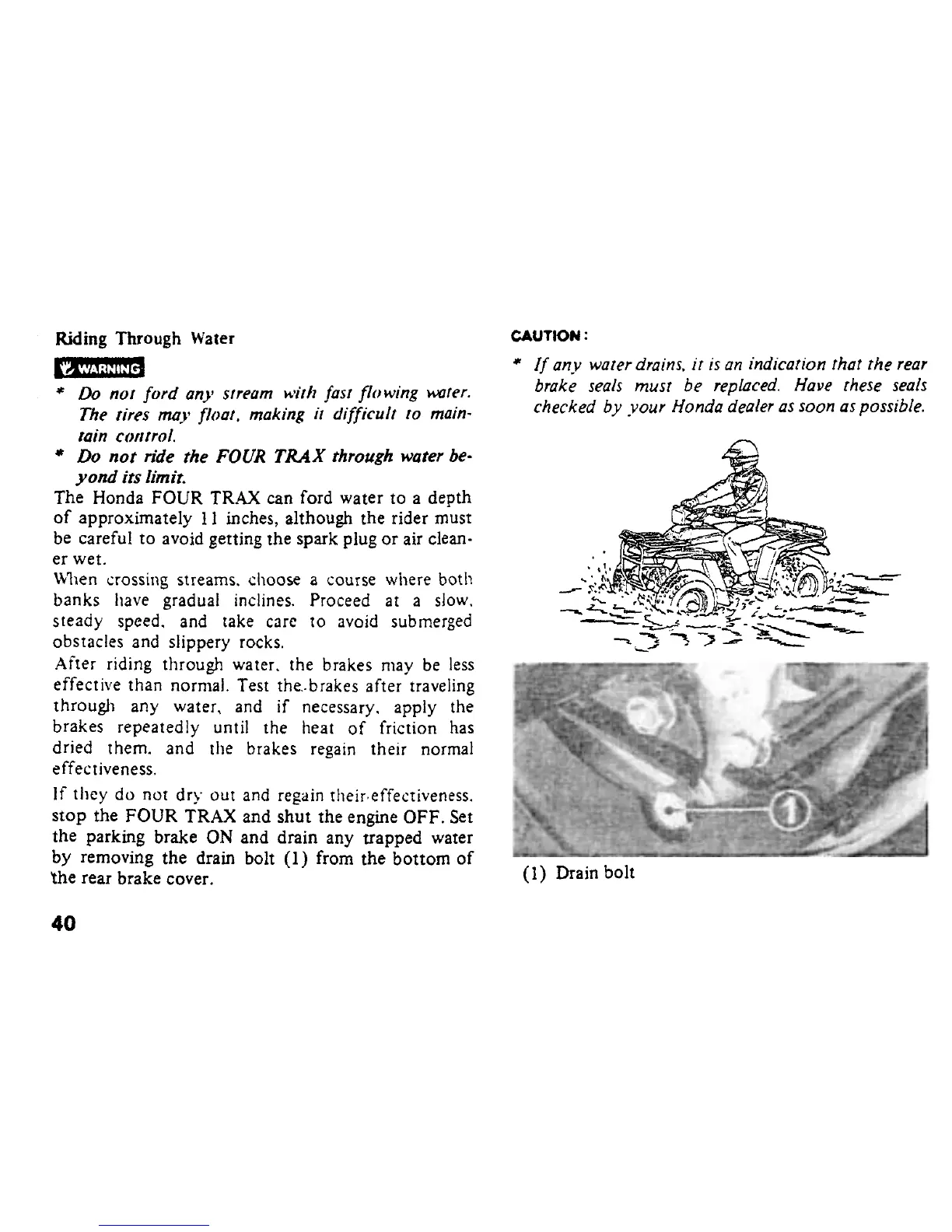 Page #43 background image