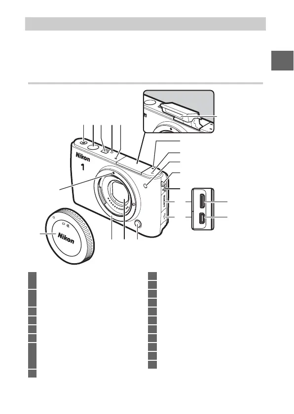 Page #17 background image