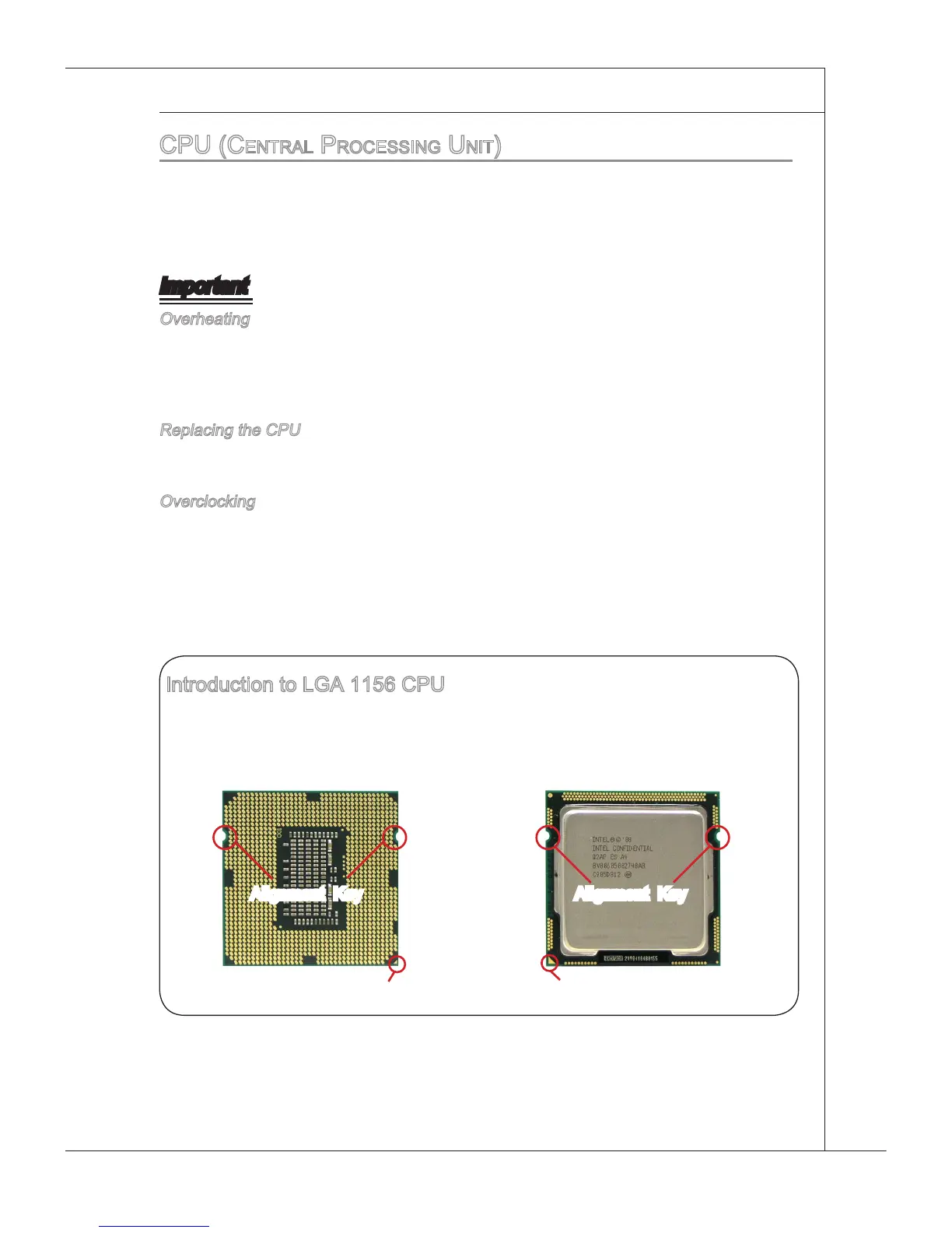 Page #15 background image