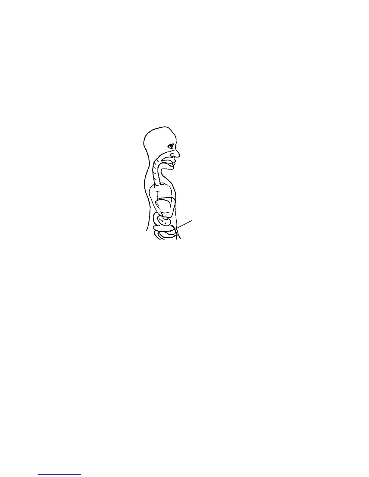 Page #168 background image