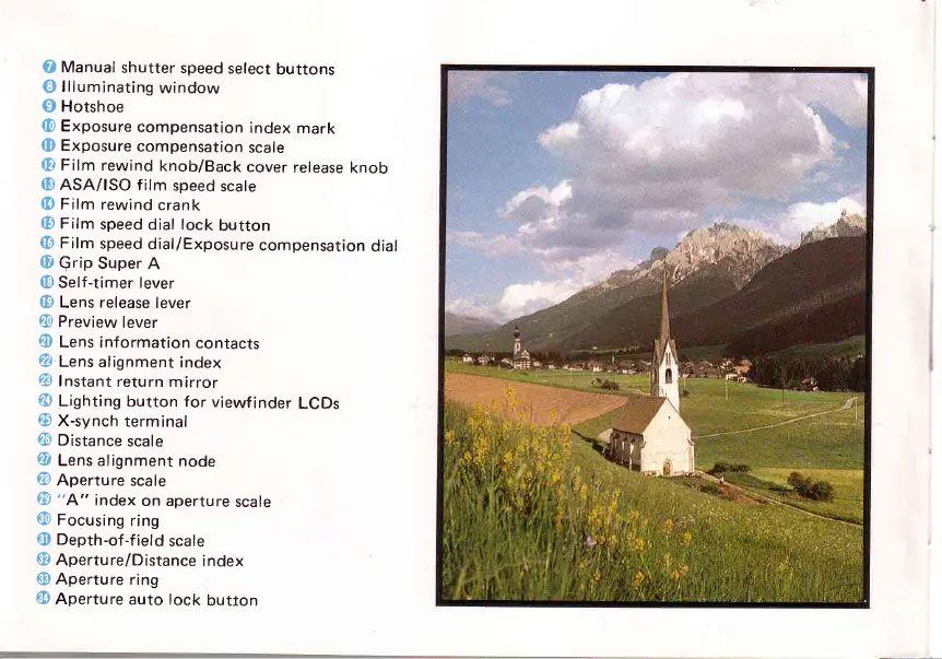 Page #5 background image