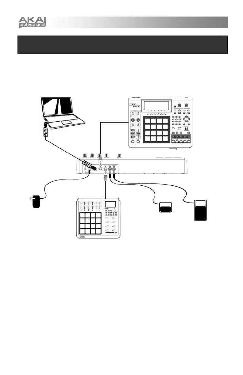 Page #8 background image