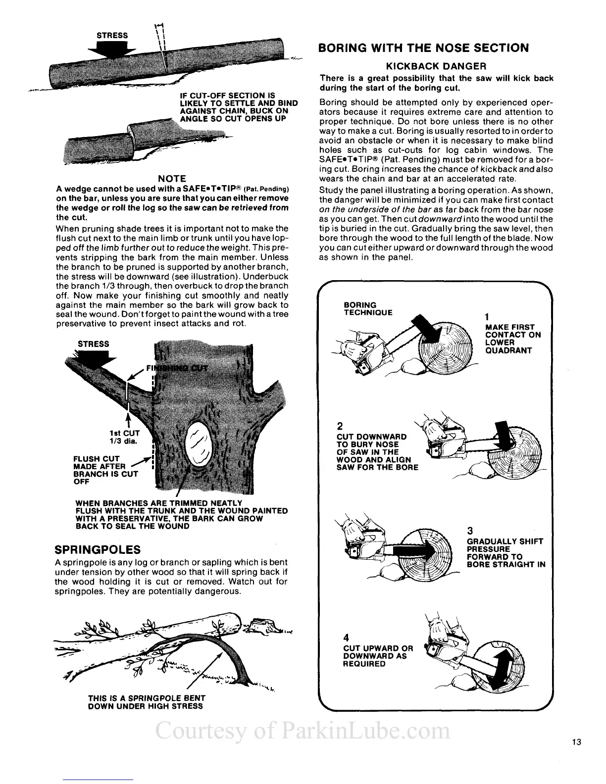 Page #13 background image