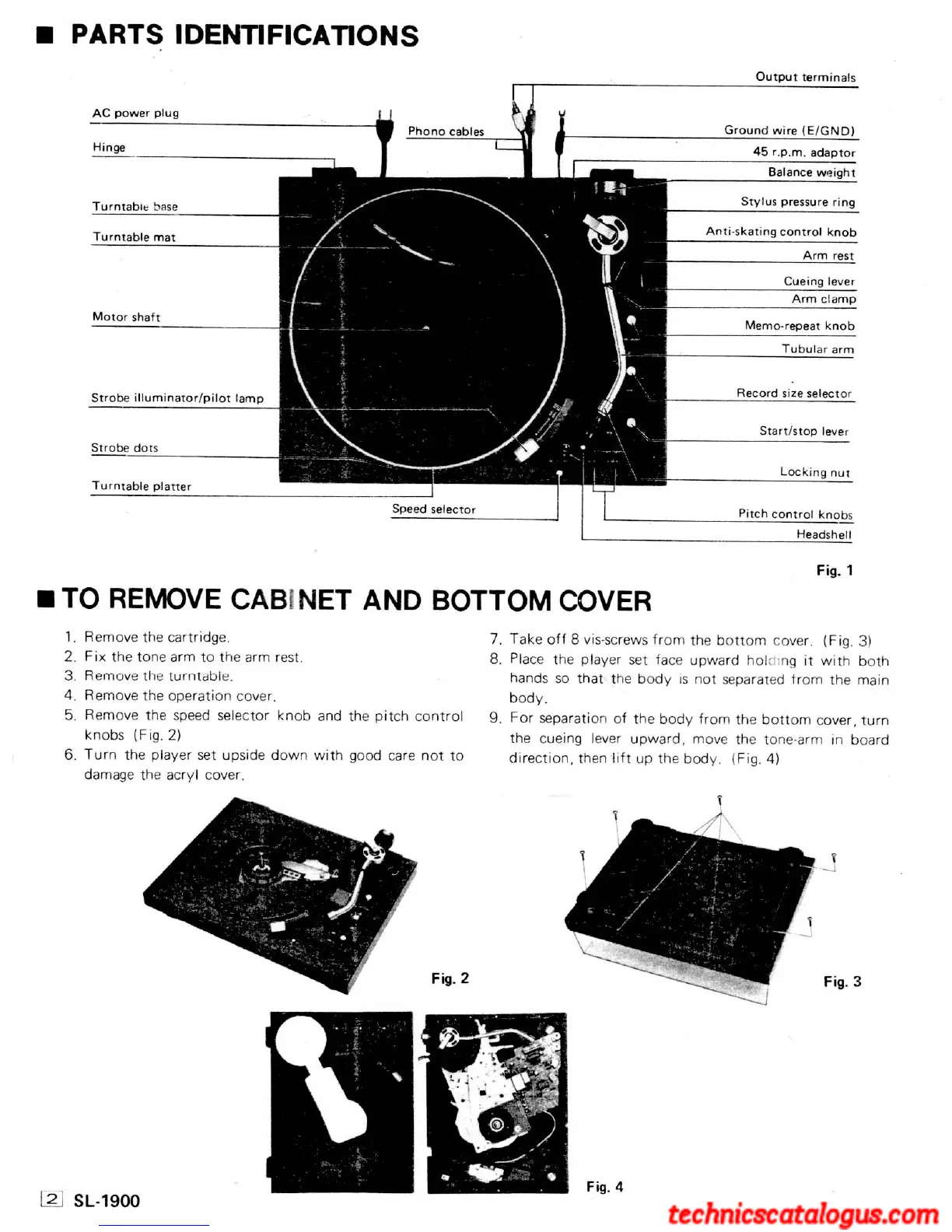 Page #2 background image