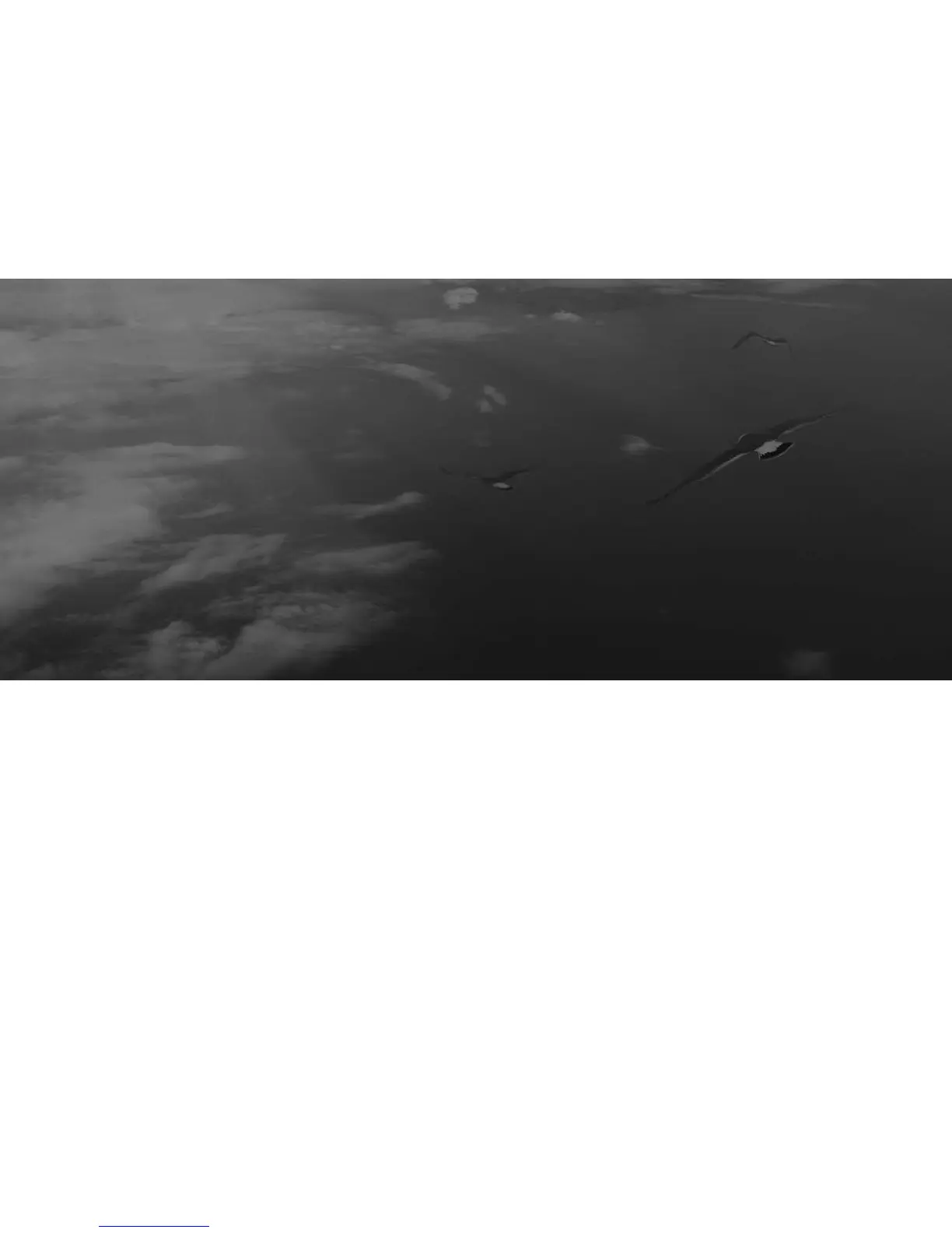 Page #242 background image