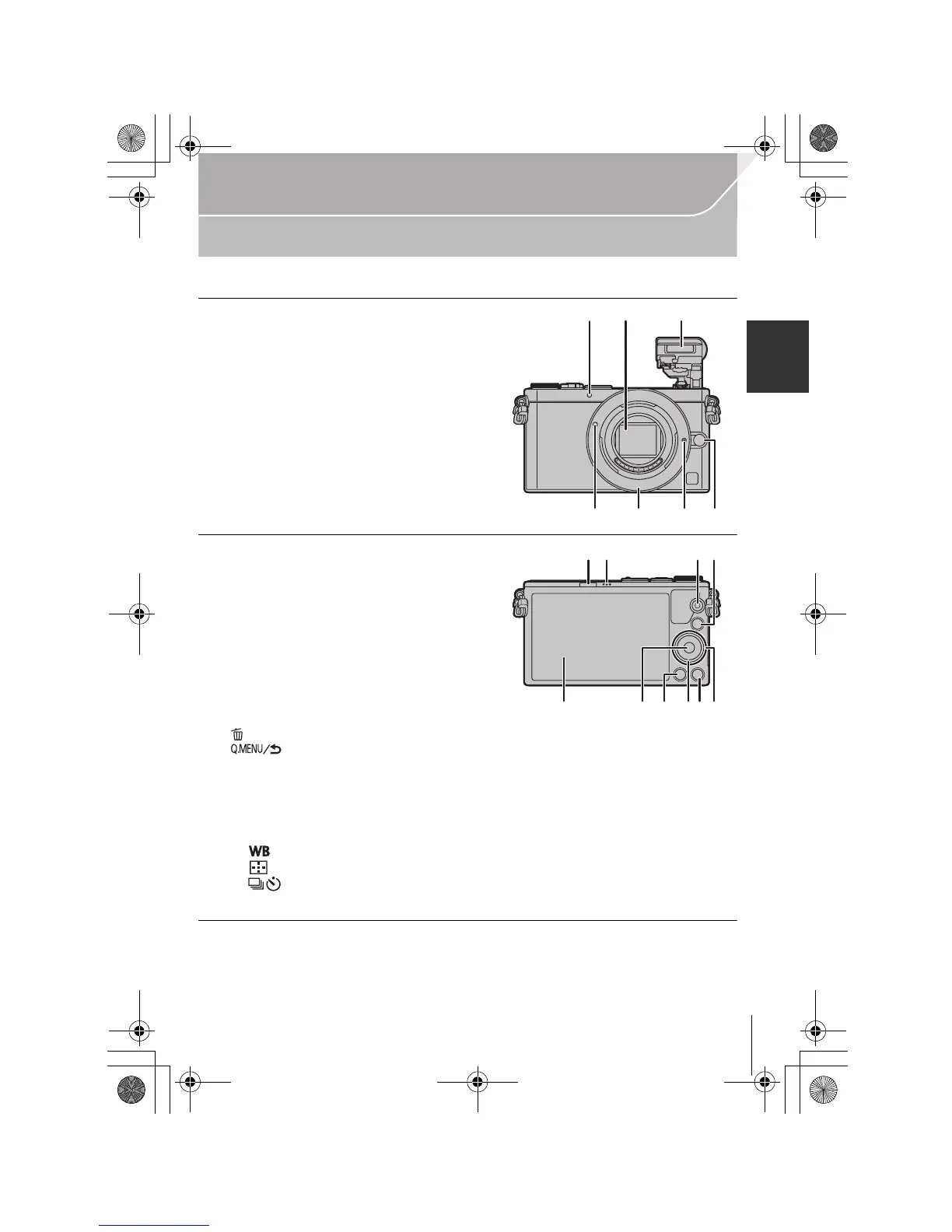 Page #11 background image