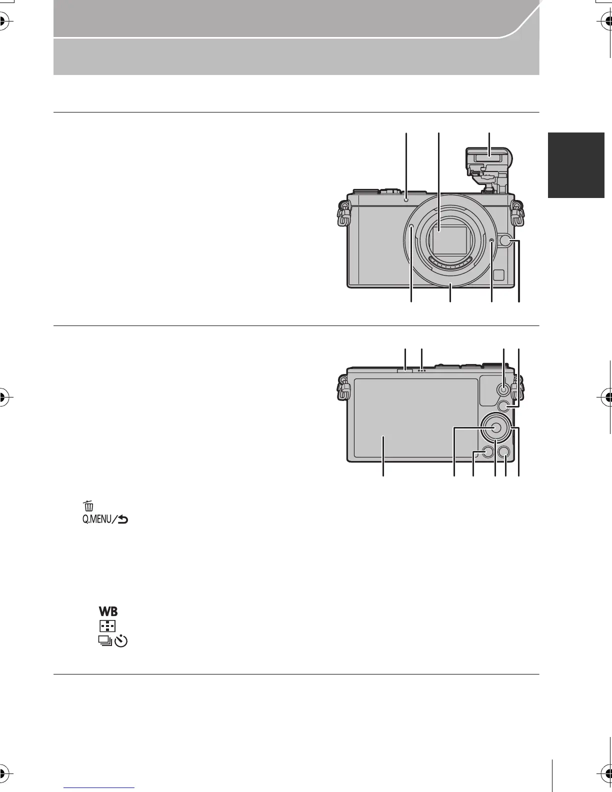 Page #11 background image