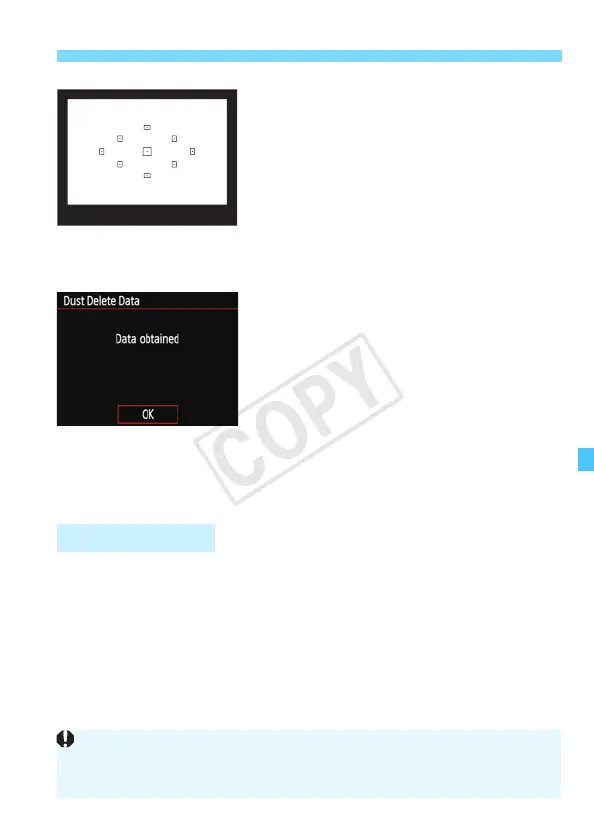 Page #199 background image