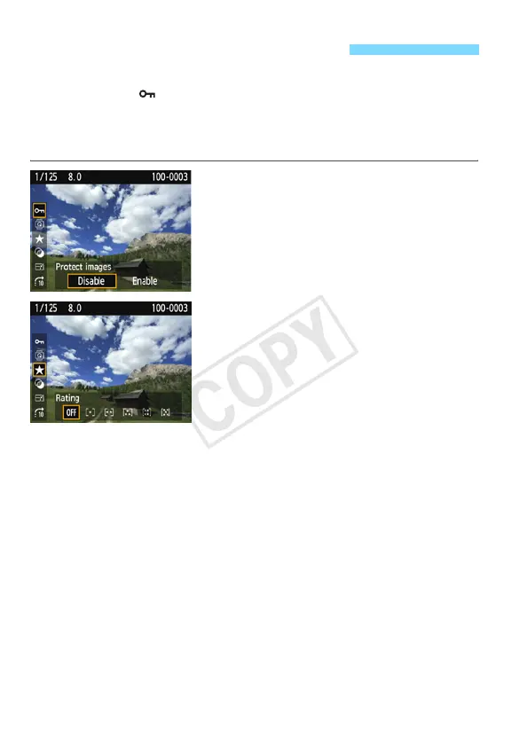 Page #210 background image