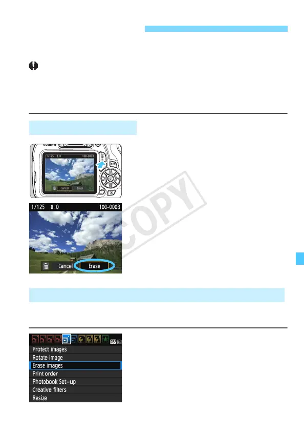 Page #227 background image