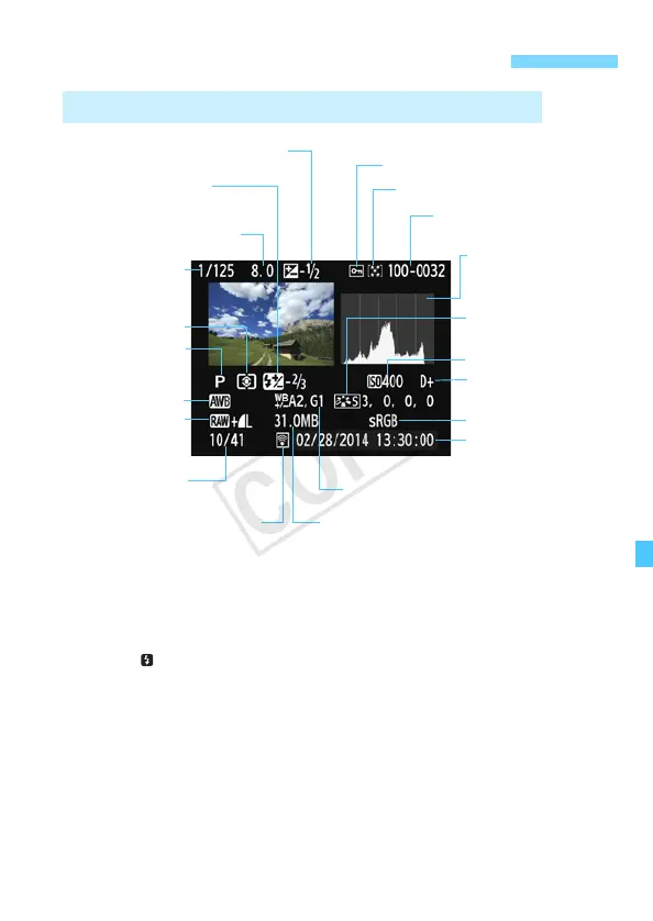 Page #229 background image
