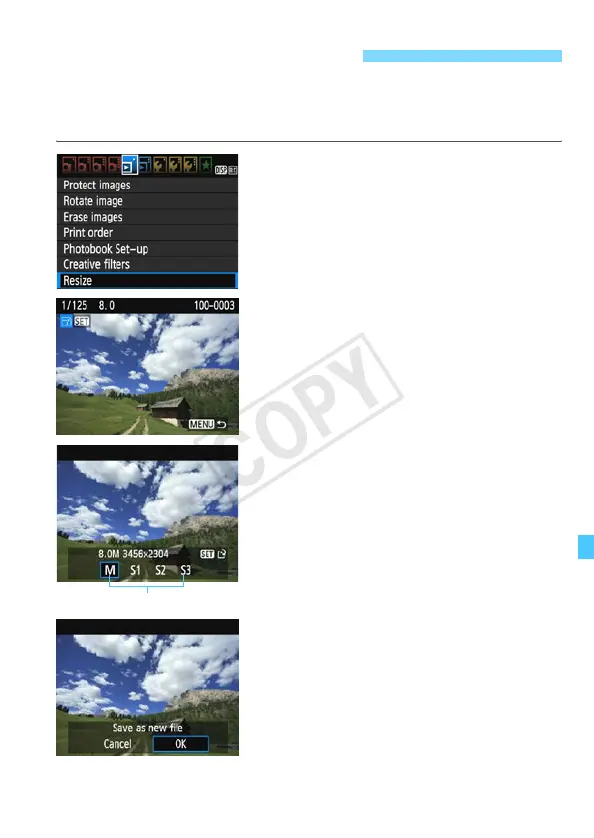 Page #237 background image