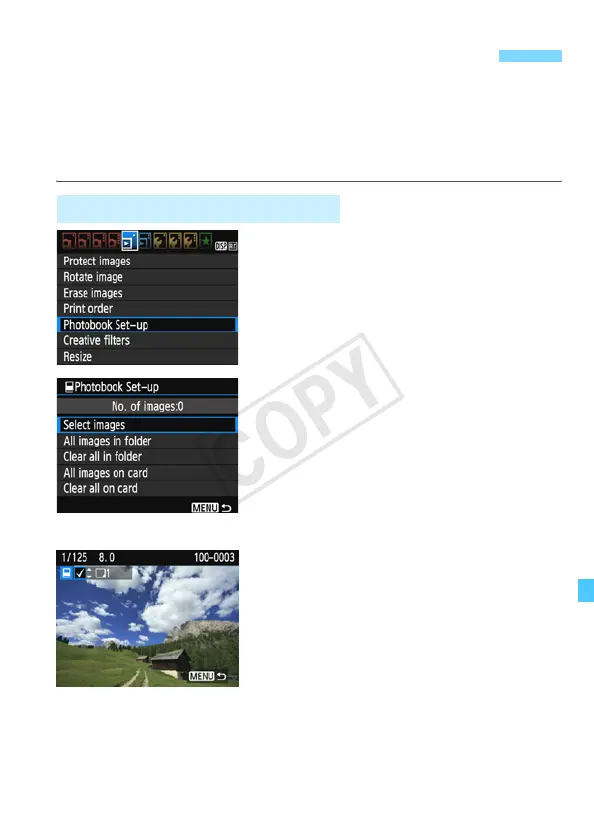 Page #253 background image