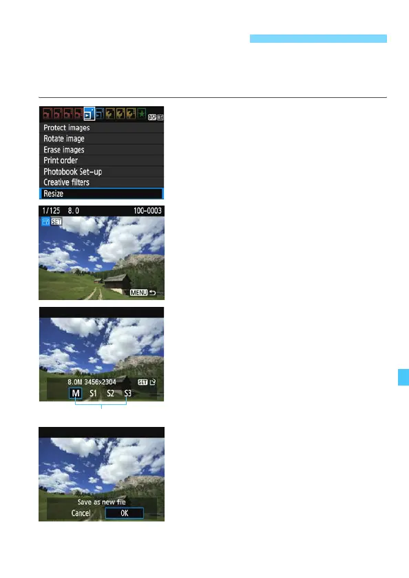 Page #237 background image
