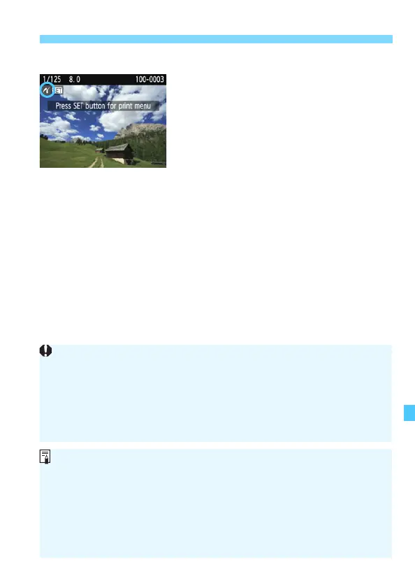 Page #241 background image