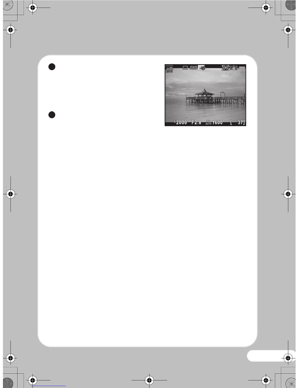 Page #19 background image