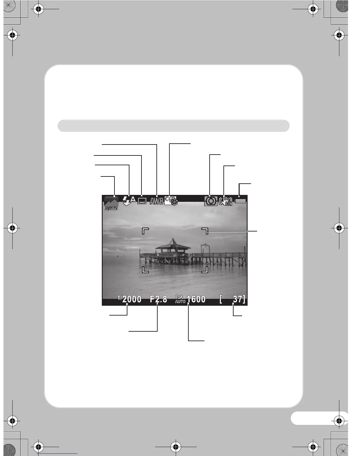 Page #13 background image