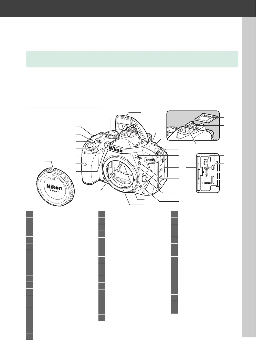 Page #21 background image