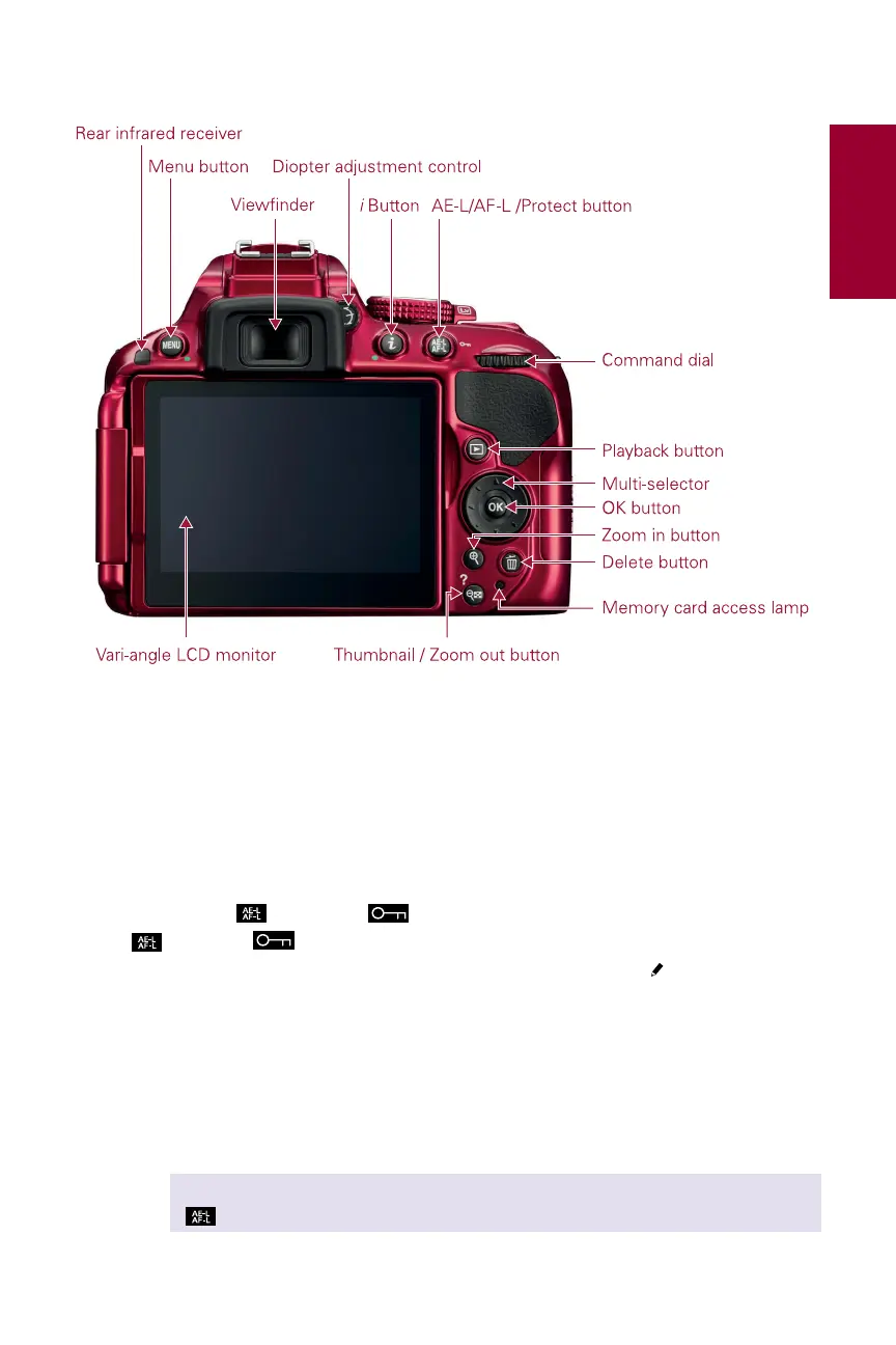 Page #21 background image