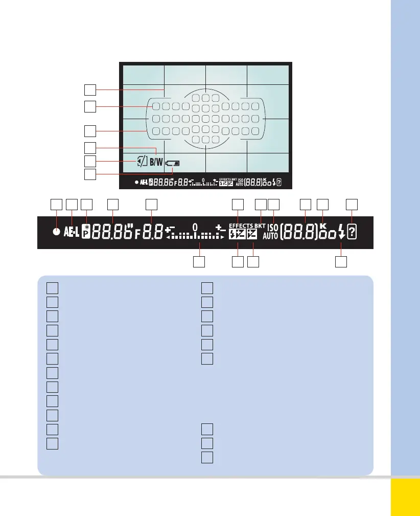 Page #17 background image