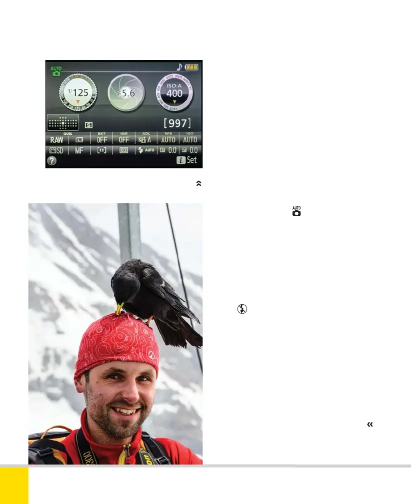 Page #36 background image