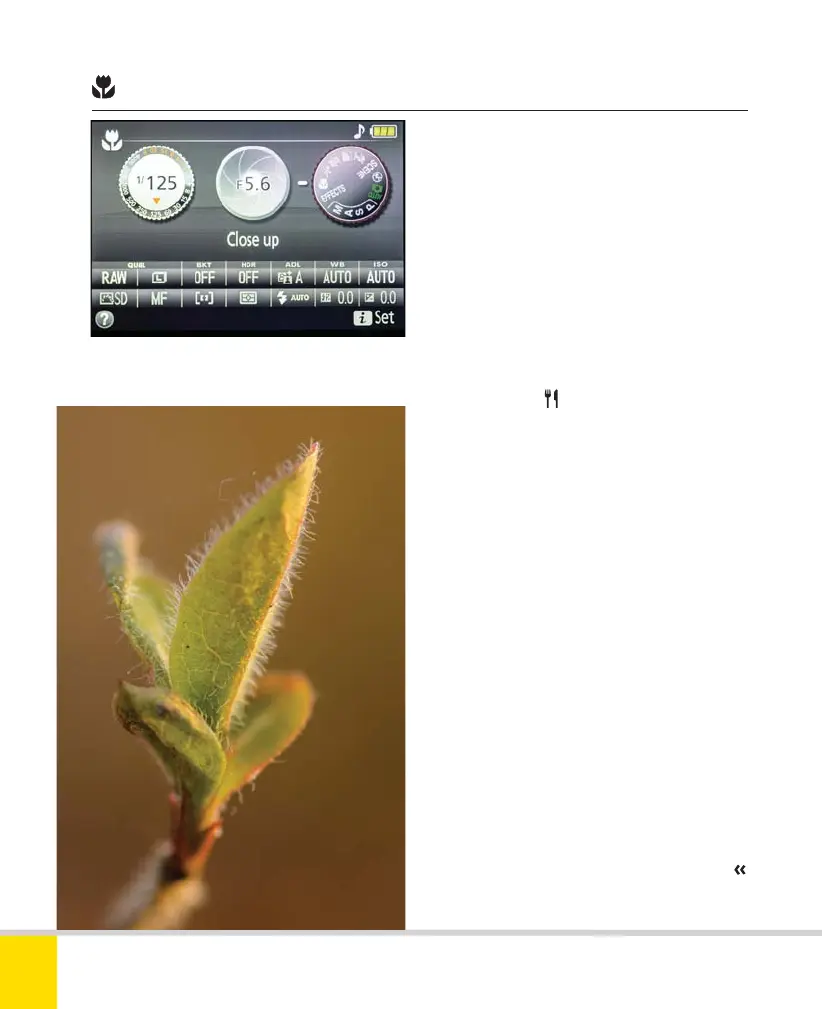 Page #42 background image
