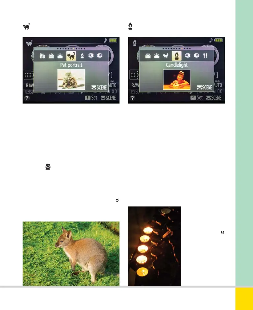 Page #47 background image