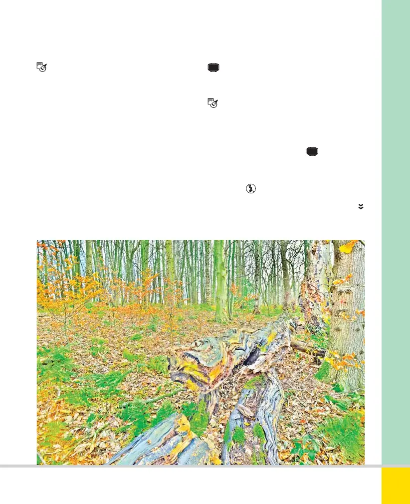 Page #51 background image