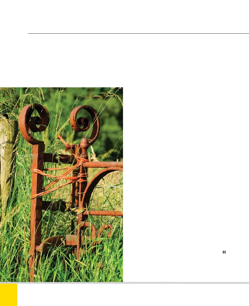 Page #58 background image