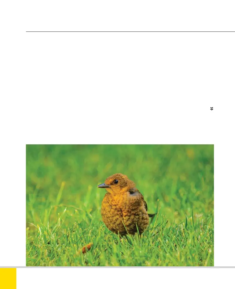 Page #60 background image