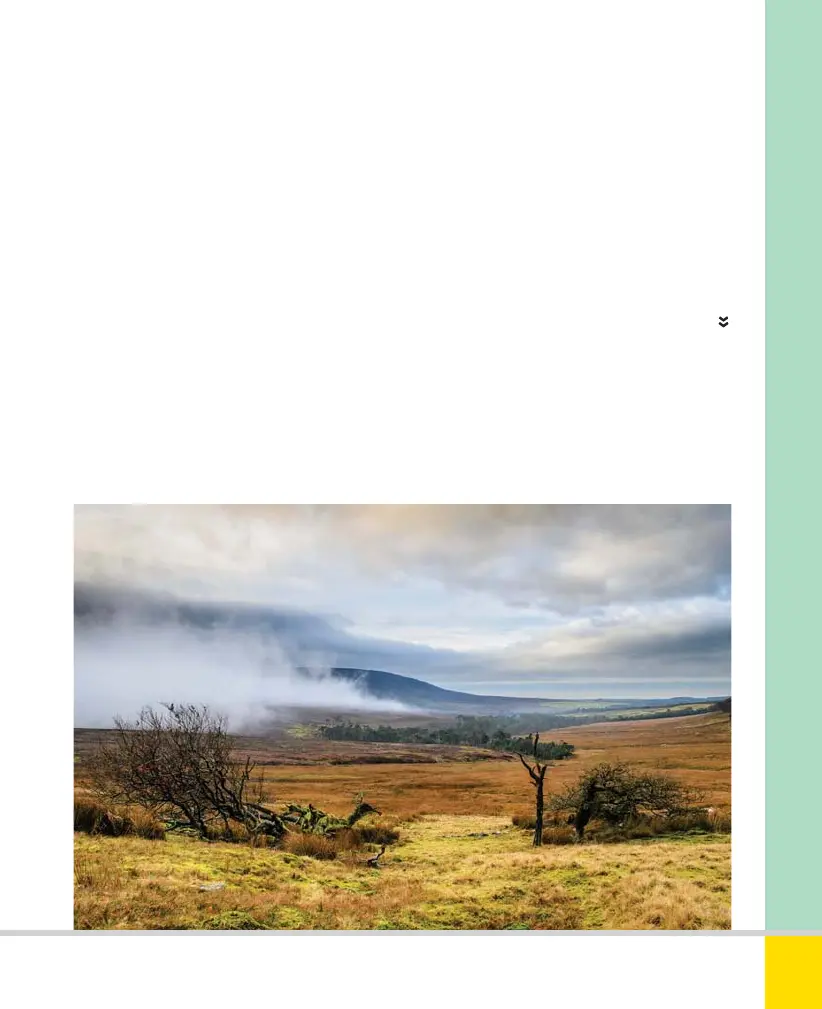 Page #71 background image
