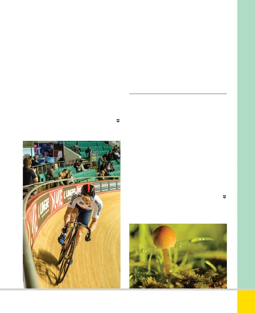 Page #73 background image