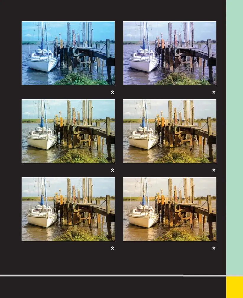 Page #81 background image