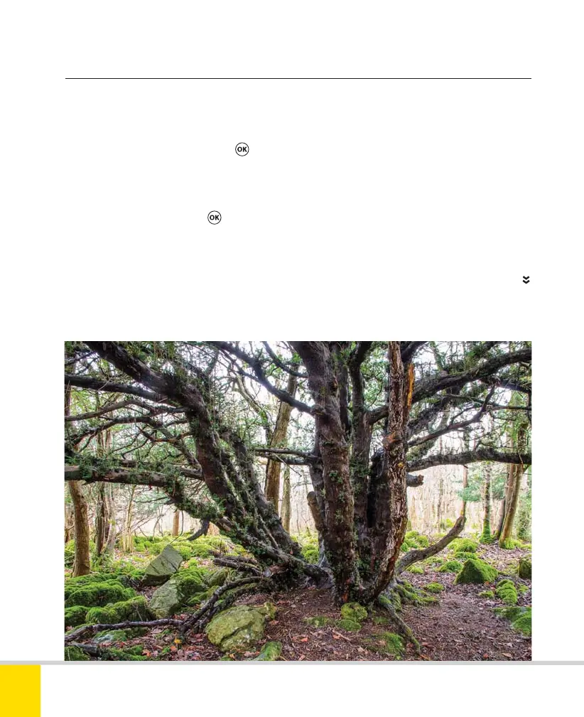 Page #86 background image