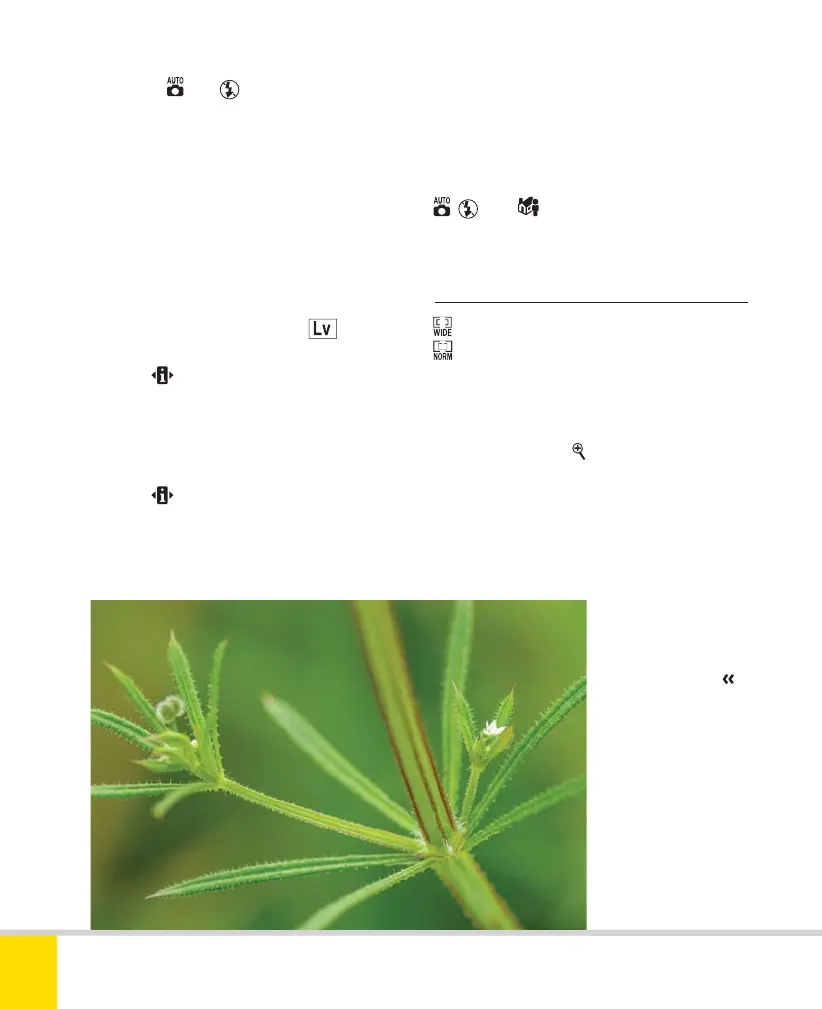Page #92 background image