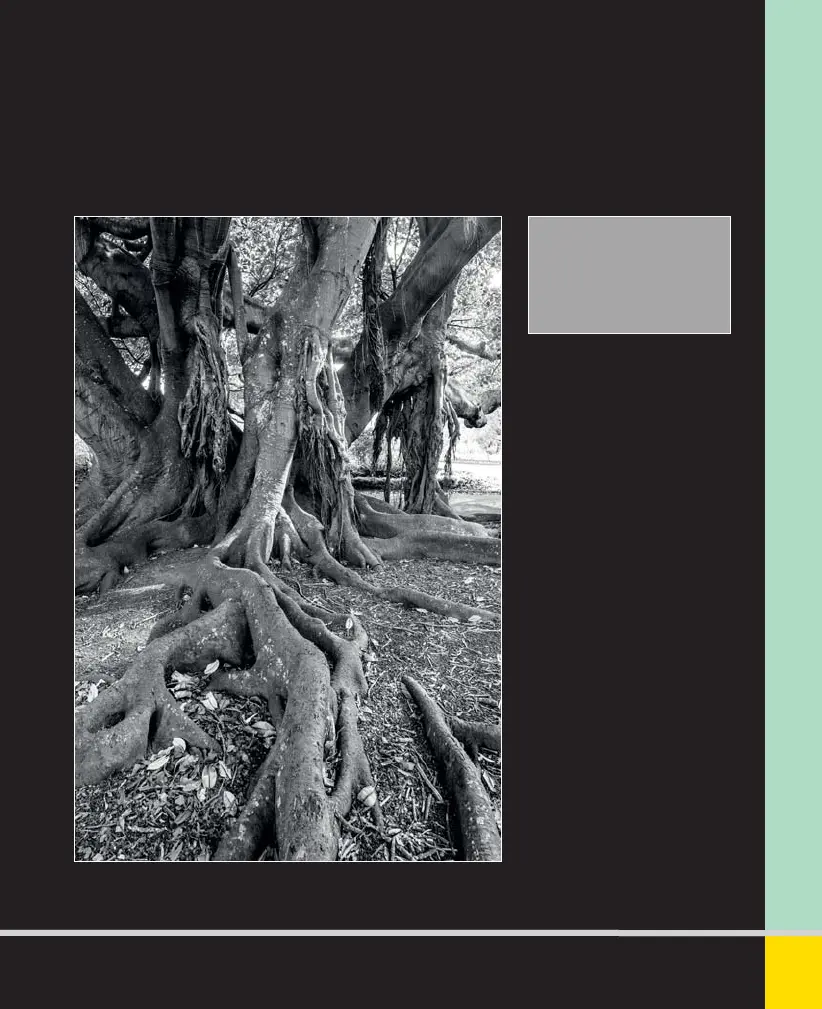 Page #101 background image