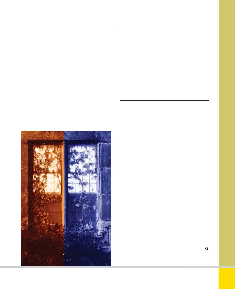 Page #129 background image