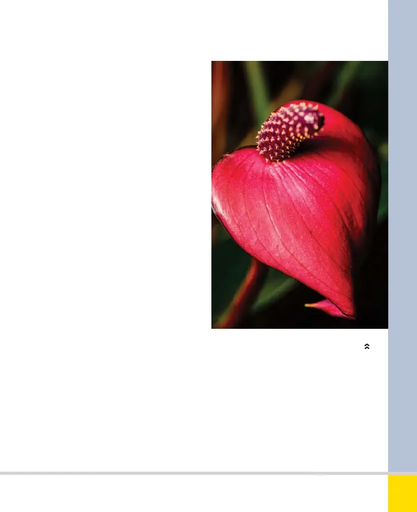 Page #155 background image
