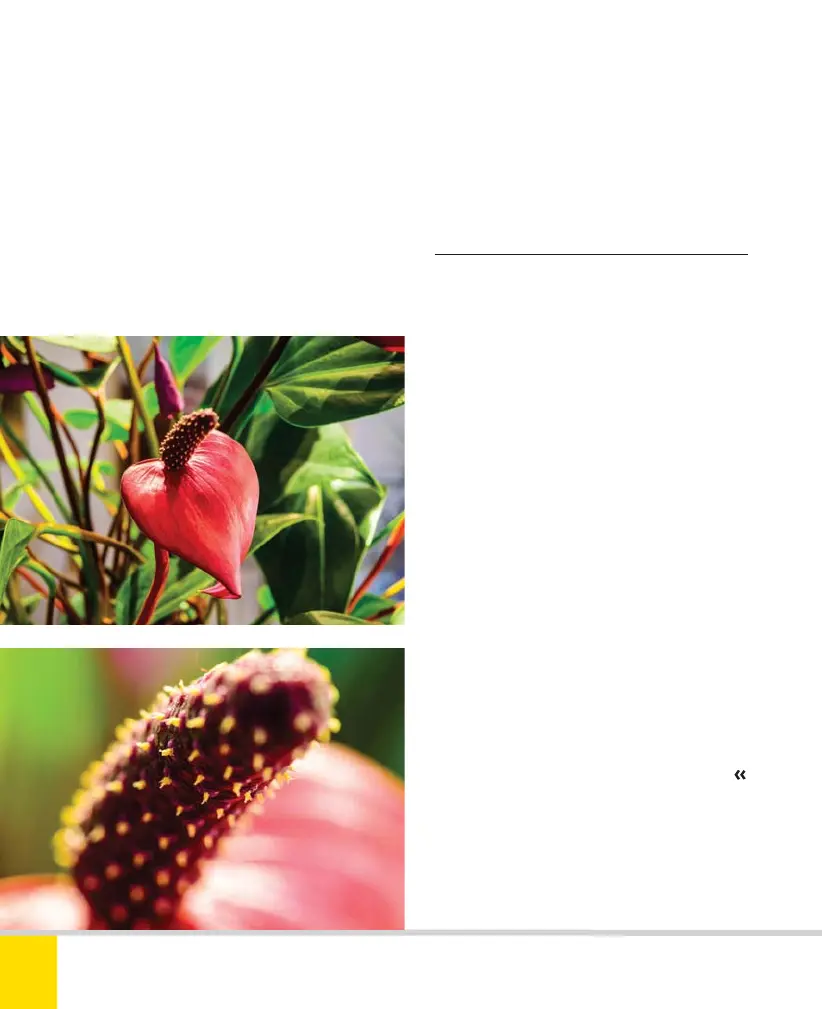Page #160 background image