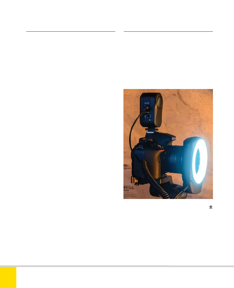Page #162 background image