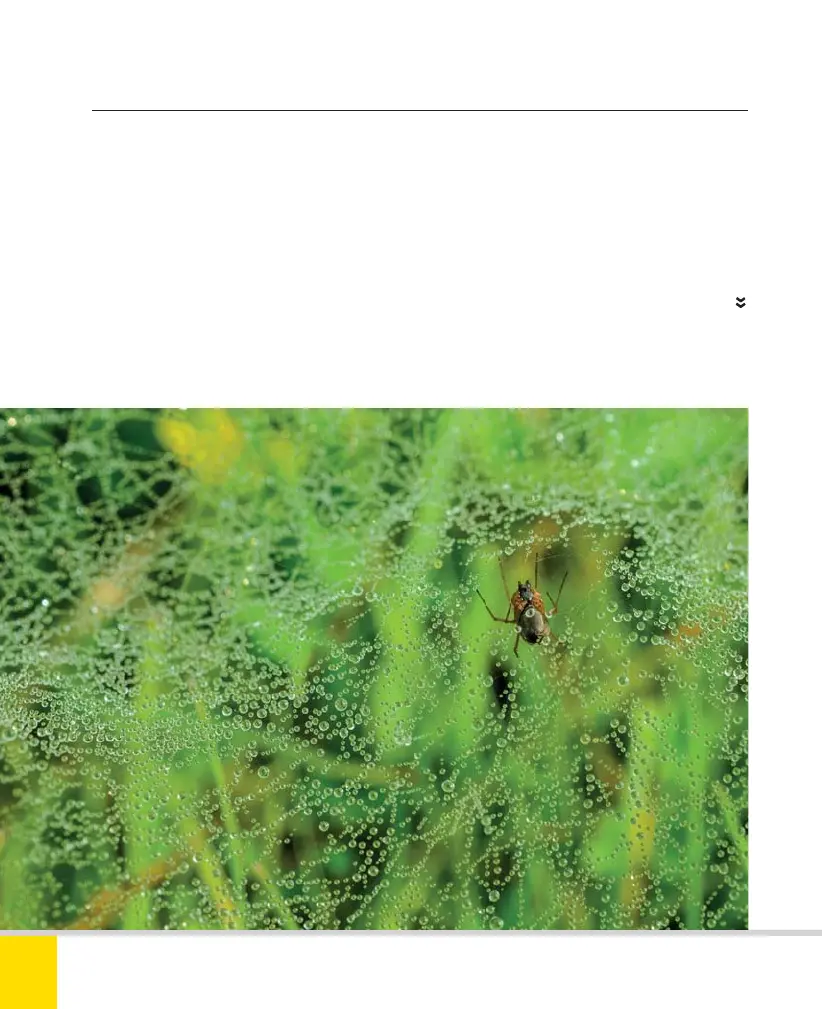 Page #166 background image