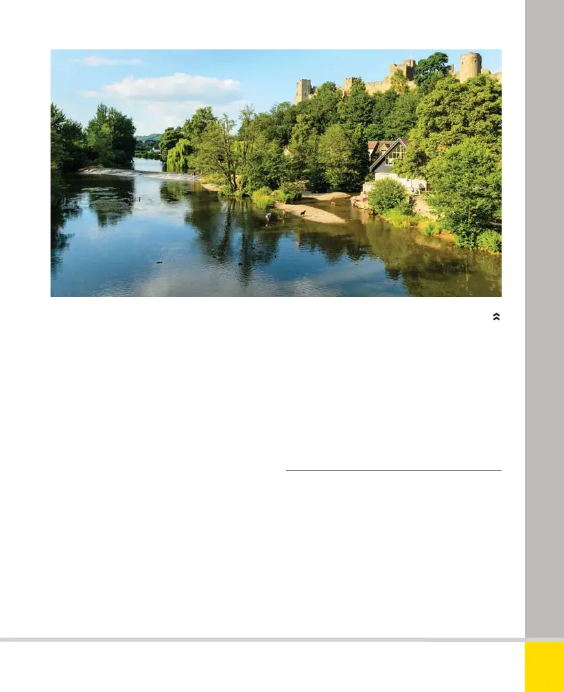 Page #179 background image