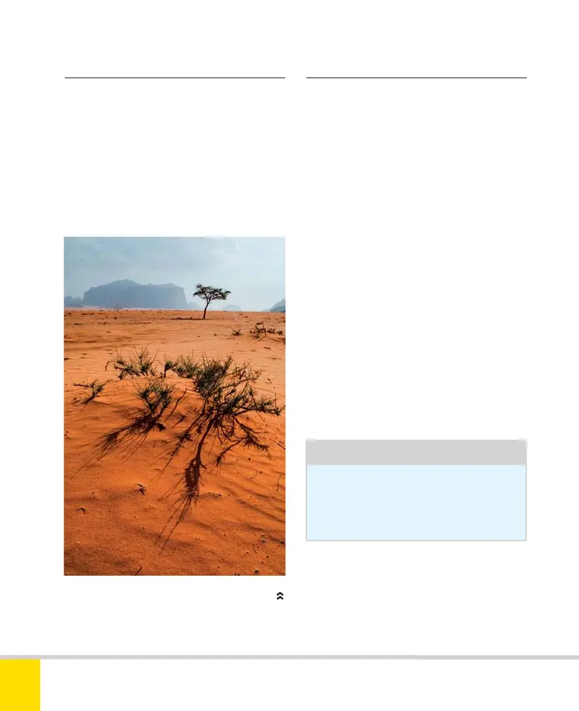 Page #188 background image