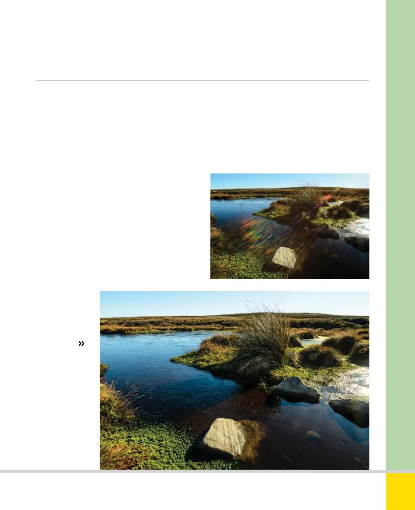 Page #191 background image