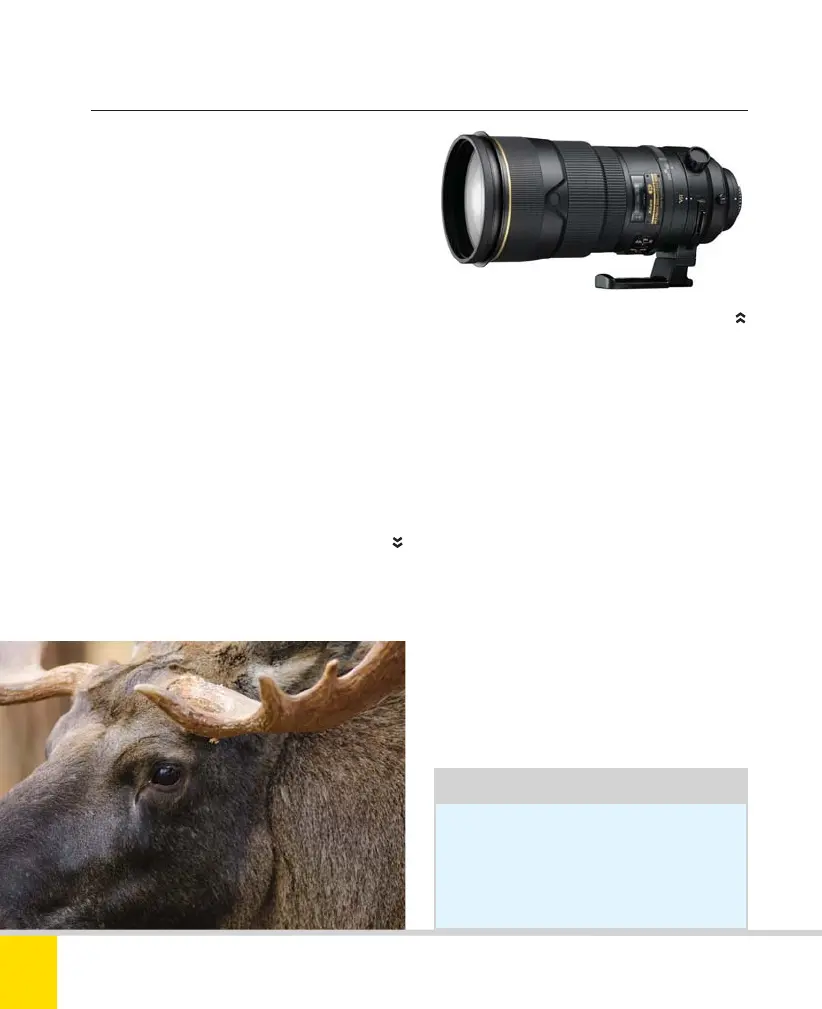 Page #198 background image